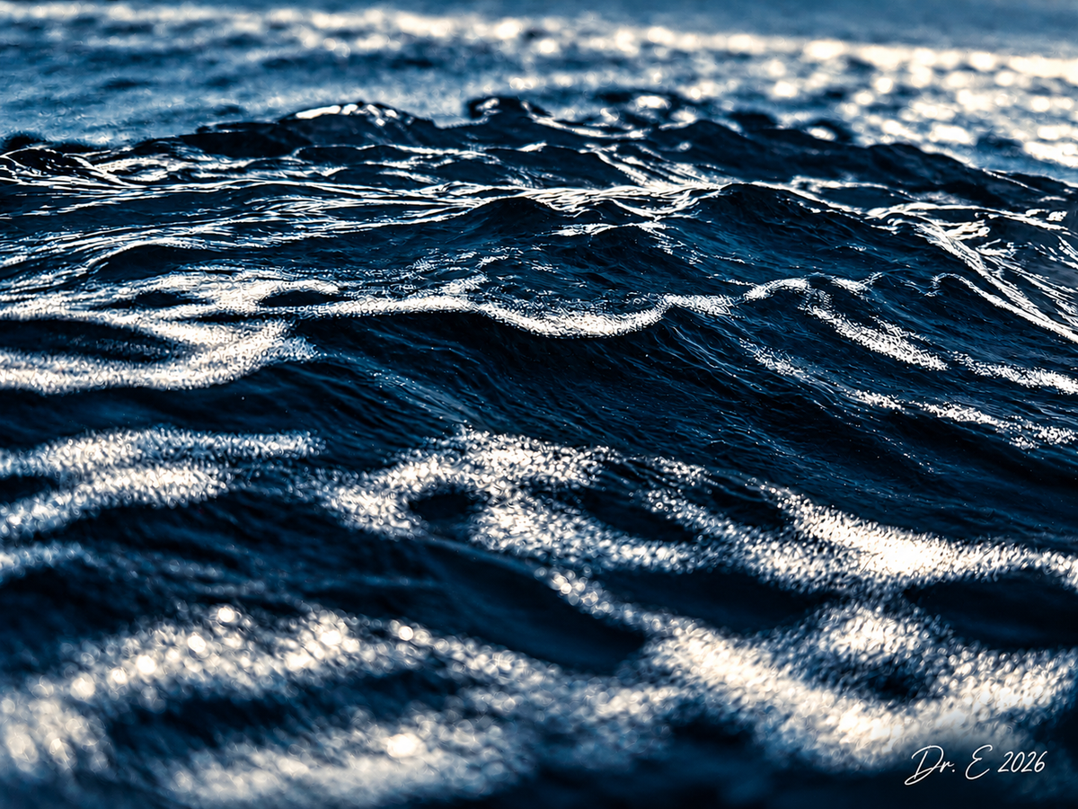 Silver Waves — signed ocean artwork by Dr. E, 2026
